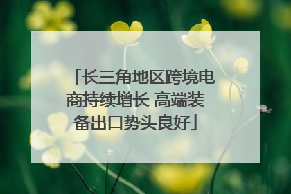 长三角地区跨境电商持续增长 高端装备出口势头良好